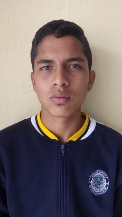 User Image